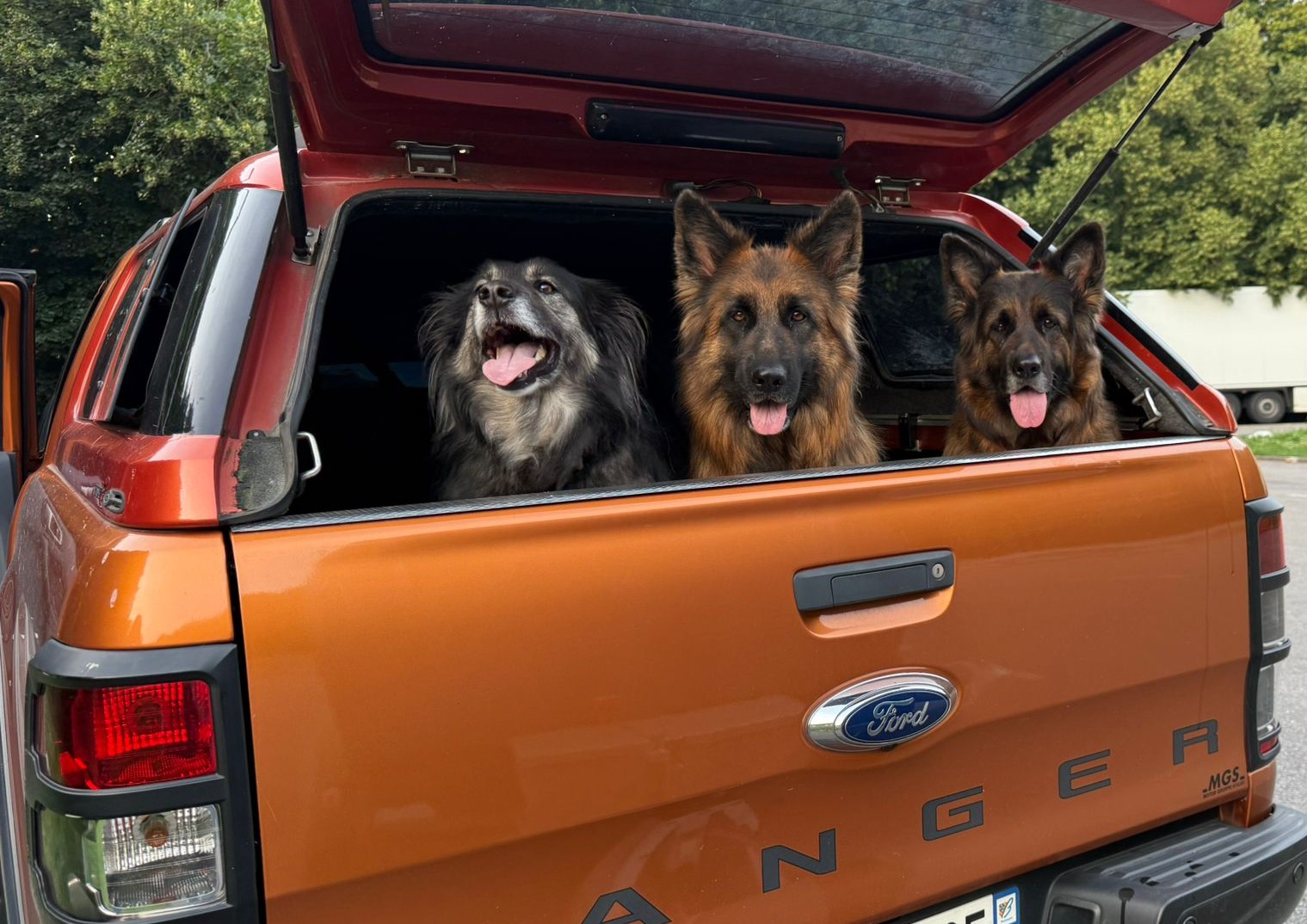 Lucky,%20Ayvie%20und%20Sierra